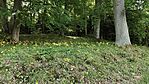 IMG_20260514_113304