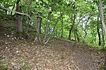DSC_0530