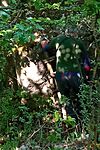 IMG_20260502_143828