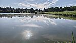IMG_20260513_075418