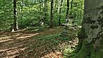 IMG_20260513_085959