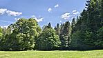 IMG_20260513_132604