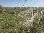 IMG_20260430_162518