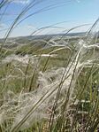 IMG_20260430_162451