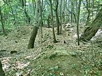 IMG_20260510_093934