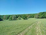 IMG_20260510_091838