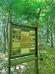 IMG_20260510_093923