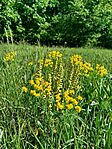IMG_20260510_092558