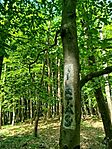 IMG_20260510_113556
