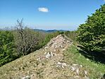 IMG_20260510_113903