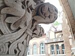 IMG_20260512_183818
