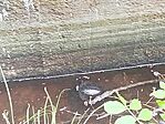 IMG_20260517_161059