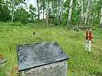 IMG_20260516_092659