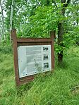IMG_20260516_093018