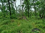 IMG_20260516_093915