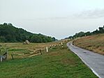 IMG_20260516_082145
