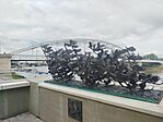 IMG_20260516_164121