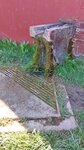log-image-1779548507665-1