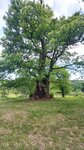 log-image-1779549607904-1