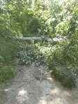 log-image-1780057346970-0