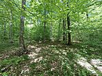 IMG_20260502_132304