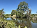 IMG_3151