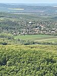 IMG_3153