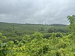IMG_3174