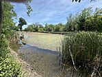 IMG_3252