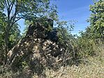 IMG_3266