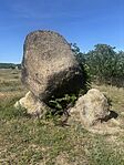 IMG_3272