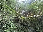 IMG_3245