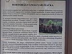 20260526_090829