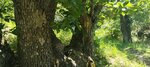 log-image-1779642785327-1