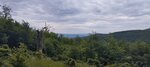 log-image-1780159399284-1