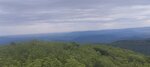 log-image-1780159399279-2