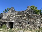 IMG_6084