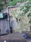 log-image-1780230016006-0