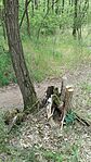 IMG_20260506_113103