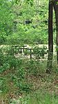 IMG_20260506_113127
