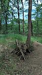 IMG_20260506_113118