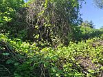 IMG_20260502_160405