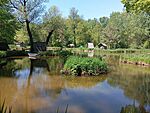 IMG_20260502_130320