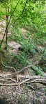 log-image-1779726403359-1