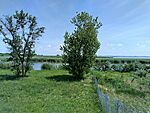 IMG_20260525_120211_HDR