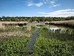 IMG_20260501_103523