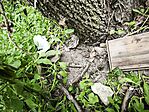 IMG_20260501_120704