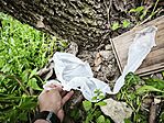 IMG_20260501_120712