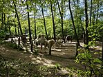 IMG_20260425_153620