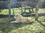 IMG_20260425_154846